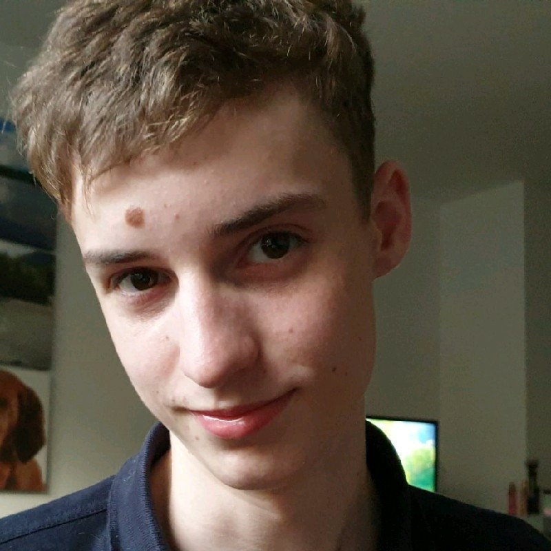 Styled image